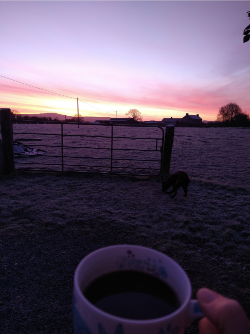 Resetting my circadian rhythm with a morning coffee watching the sunrise